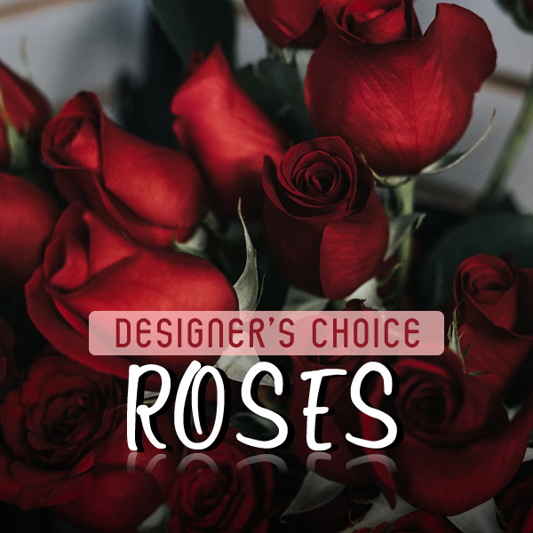 designers choice roses