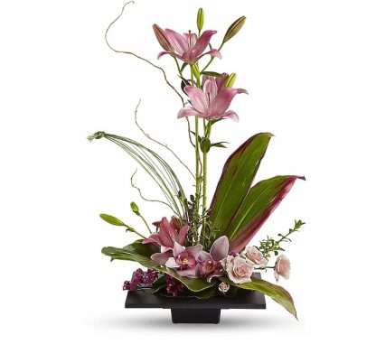 Imagination Blooms with Cymbidium Orchids