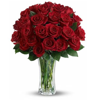 Love and Devotion - Long Stemmed Red Roses