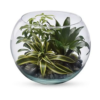 Sphere Of Tranquility Terrarium
