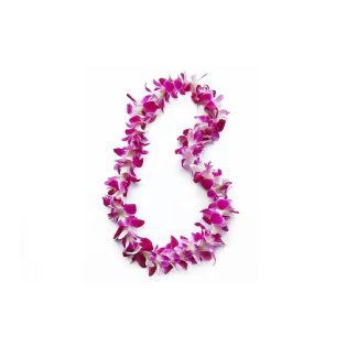 Graduation Single Purple Lei