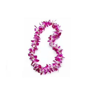 Graduation Single Purple Lei