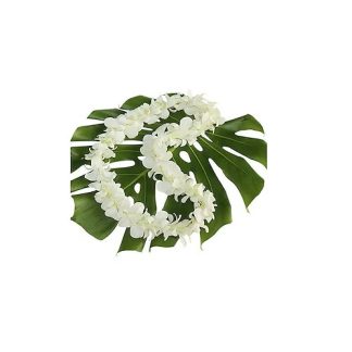 Graduation Single White Lei