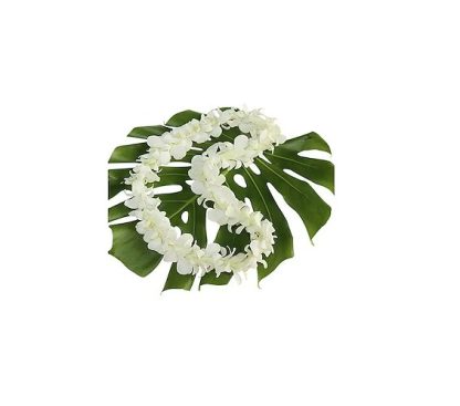 Graduation Single White Lei