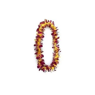 Graduation Single Red & Yellow Lei