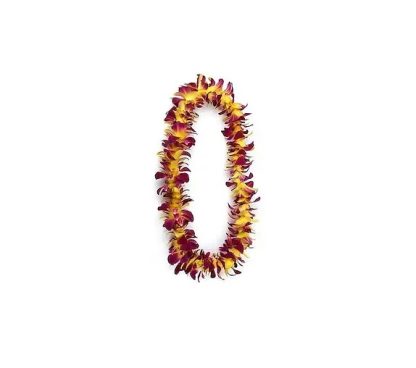 Graduation Single Red & Yellow Lei