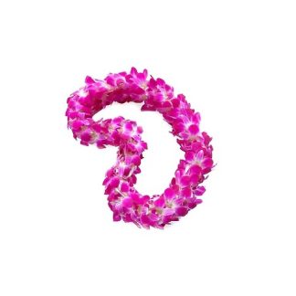 Graduation Double Purple Lei
