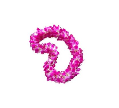 Graduation Double Purple Lei