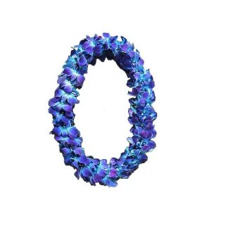 Graduation Double Blue Lei