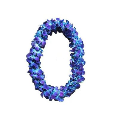 Graduation Double Blue Lei