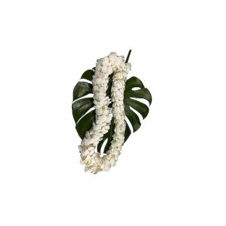Graduation Double White Lei