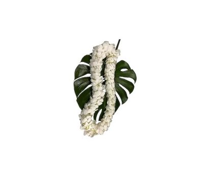 Graduation Double White Lei