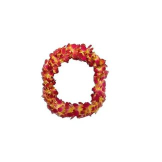 Graduation Double Red & Yellow Lei
