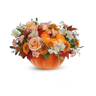 Teleflora's Spooky Succulent Garden