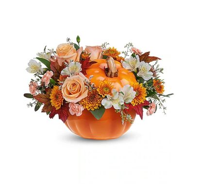 Teleflora's Spooky Succulent Garden