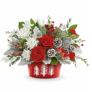 Teleflora's Snowy Pines Centerpiece