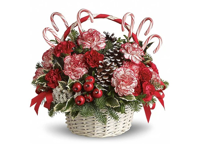 Candy Cane Christmas