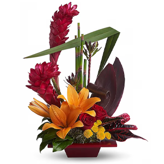 Teleflora's Tropical Bliss